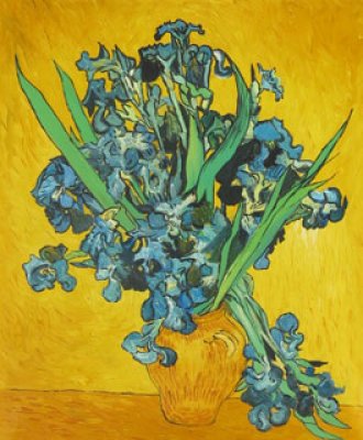 Rahmenoptionen für Vase mit Iris vor gelbem Hintergrund, 70 x 89 cm