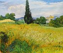 Grünes Weizenfeld mit Zypresse - 90 x 70 cm